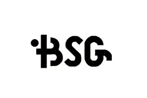 BSG partner firma